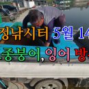 마정낚시터 이미지