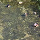 성주 산그늘펜션 이미지