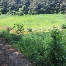 태양부동산중개인사무소 이미지