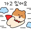 베스트안경원 이미지