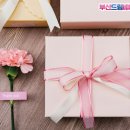 홀라스튜디오 이미지