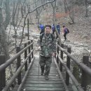 산삼약초 - 강릉시 강릉대로457번길 21 | 산삼약초