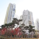 참좋은공인중개사사무소 이미지