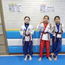 용인대비룡태권도장 네이버블로그