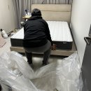 금성약품(주) | 내돈내산 금성 매트리스 한달 넘게 사용한 솔직 후기
