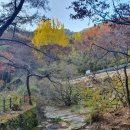 동학사약국 이미지