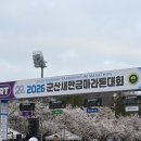 새만금초등학교 | 나도 완주! 26년 혜자 군산 새만금마라톤 벚꽃런 후기