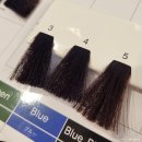 이담헤어 | 네이처헤어 노원역2호점 이담쌤 다크브라운 톤다운염색 후기