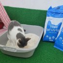 검 단 로 이미지