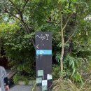 미르렌탈 | [캄보디아#2] 캄보디아 가족여행! samanea리조트, 록락맛집, 캄보디아 해산물!