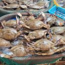 부평깡시장 내 이미지