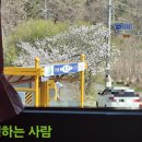 평촌세천 이미지