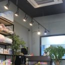 에스엘 독 이미지