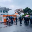 감귤홍보관 이미지