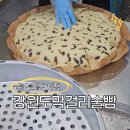 속초중앙시장 강원도막걸리술빵 후기｜직접 먹어보고 반한 맛, 택배 주문도 가능!
