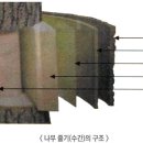 이심재 이미지