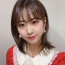 봉선화 연정- 강혜연 이미지