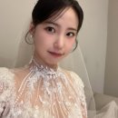 뮤플라워 | [본식후기] 동서울웨딩컨벤션 본식 후기 (Feat. 세인트헬레나/김활란뮤네제프)