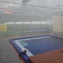 연산황산벌 오토캠핑장 이미지