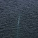 해일통상 이미지