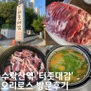 수락산역 맛집 생오리구이 터줏대감 방문후기