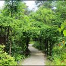 구름채 관광펜션 이미지