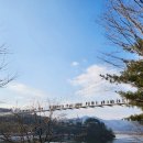 춘천하수처리장 | 춘천 출렁다리 개통!춘천 사이로 248 아이와 함께 다녀왔어요(주차/사진찍기 좋은곳)