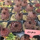 g0130 네이버블로그