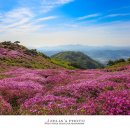 황매산장대 이미지