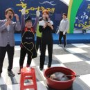 영산포홍어 이미지