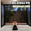 베어포레스트 스테이 이미지