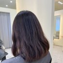 초롱꽃마을6단지 경로당 | 운정 초롱꽃마을 미용실 아르봄헤어 파주운정점 단발레이어드컷 다나실장님 후기