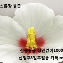 우리은행 마이너스통장 발급해드리구잇습니다 이미지