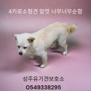 고평주유소 이미지