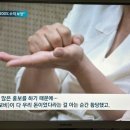 한양화로 자금 투자에서 다단계 사기의 원리를 읽다.