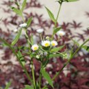 만물농원 이미지