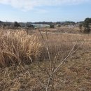 헬스7 | 심신통합 헬스케어 온라인 교육 7일차 후기/ 감사 명상과 나를 운영하는 기술