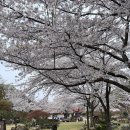 이조숯불갈비 이미지