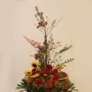 한일축산 이미지