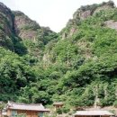 봉화분식 - 영주시 영주로192번길 45 | 봉화분식