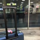 씨노미디어 | Fukuoka 01 | 계획없이 돌아다니며 먹기 ,,
