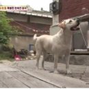 호돌이농장 이미지