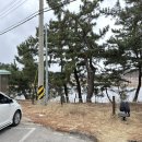 산대월리 | 강릉웨딩스냅 198스냅에서 눈오는날 커플스냅 촬영후기