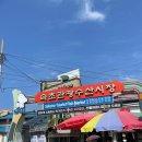 속초막걸리술빵술빵 | 속초 강원도막걸리술빵 솔직 후기 웨이팅 맛 보관법