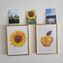 함안우체국 | 감성 인테리어템 찾는다면? 재니씨 홈데코포스터&amp;함안엽서 추천💖