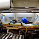 제주한라병원 이미지