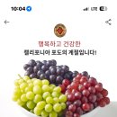 캐시워크 정답 이미지