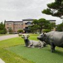 천안연암대학교 이미지