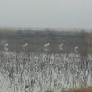 부리농장 이미지