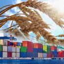 부흥상사 이미지